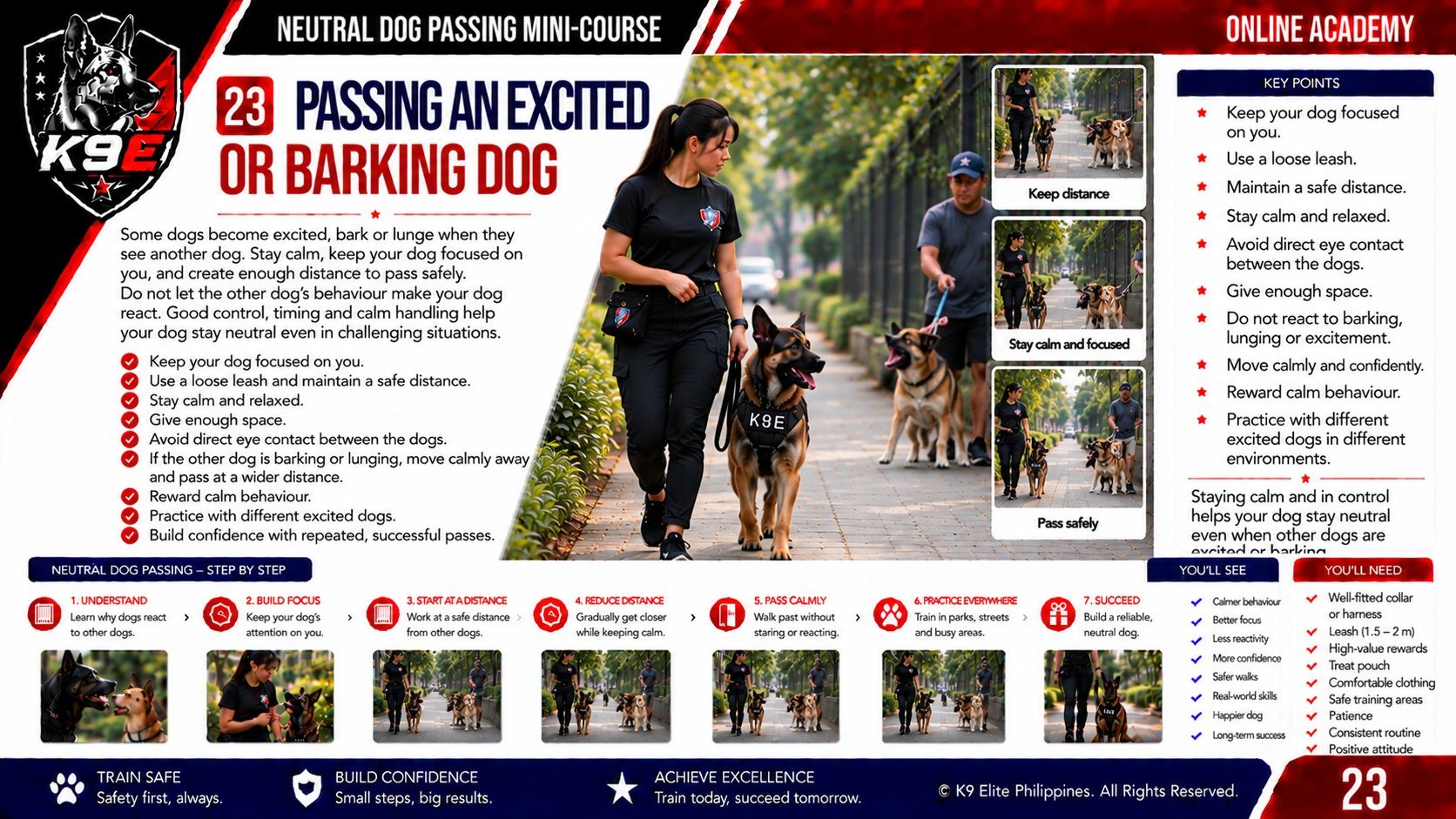 Neutral Dog Passing training